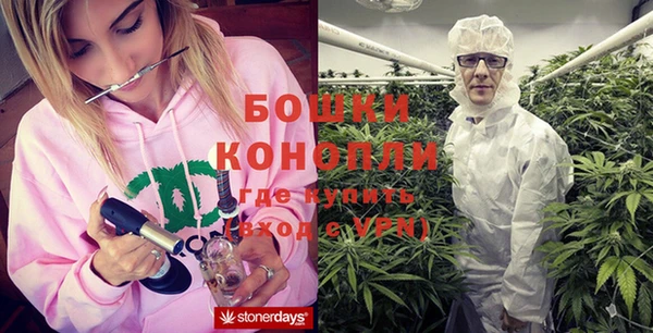 трава Куйбышев