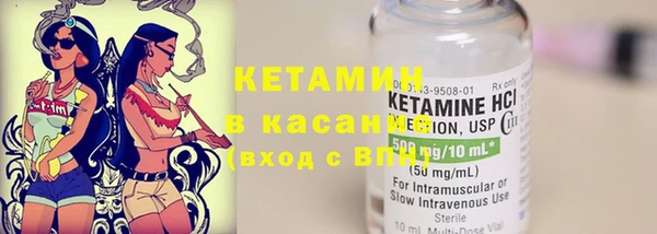крисы Лагань