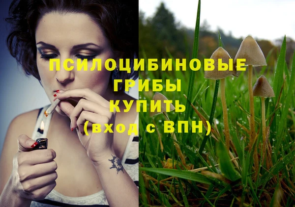 шишки Кукмор