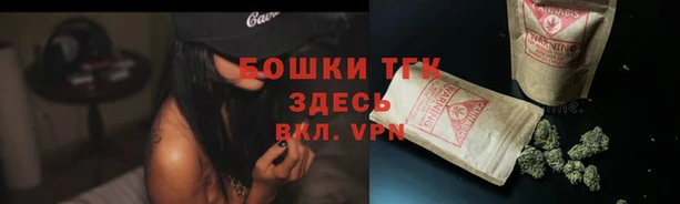 шишки Кукмор