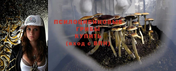 круглые Усмань