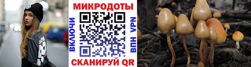 как найти   Орск  Псилоцибиновые грибы Psilocybine cubensis 
