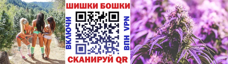 Шишки марихуана гибрид  что такое наркотик  Орск 